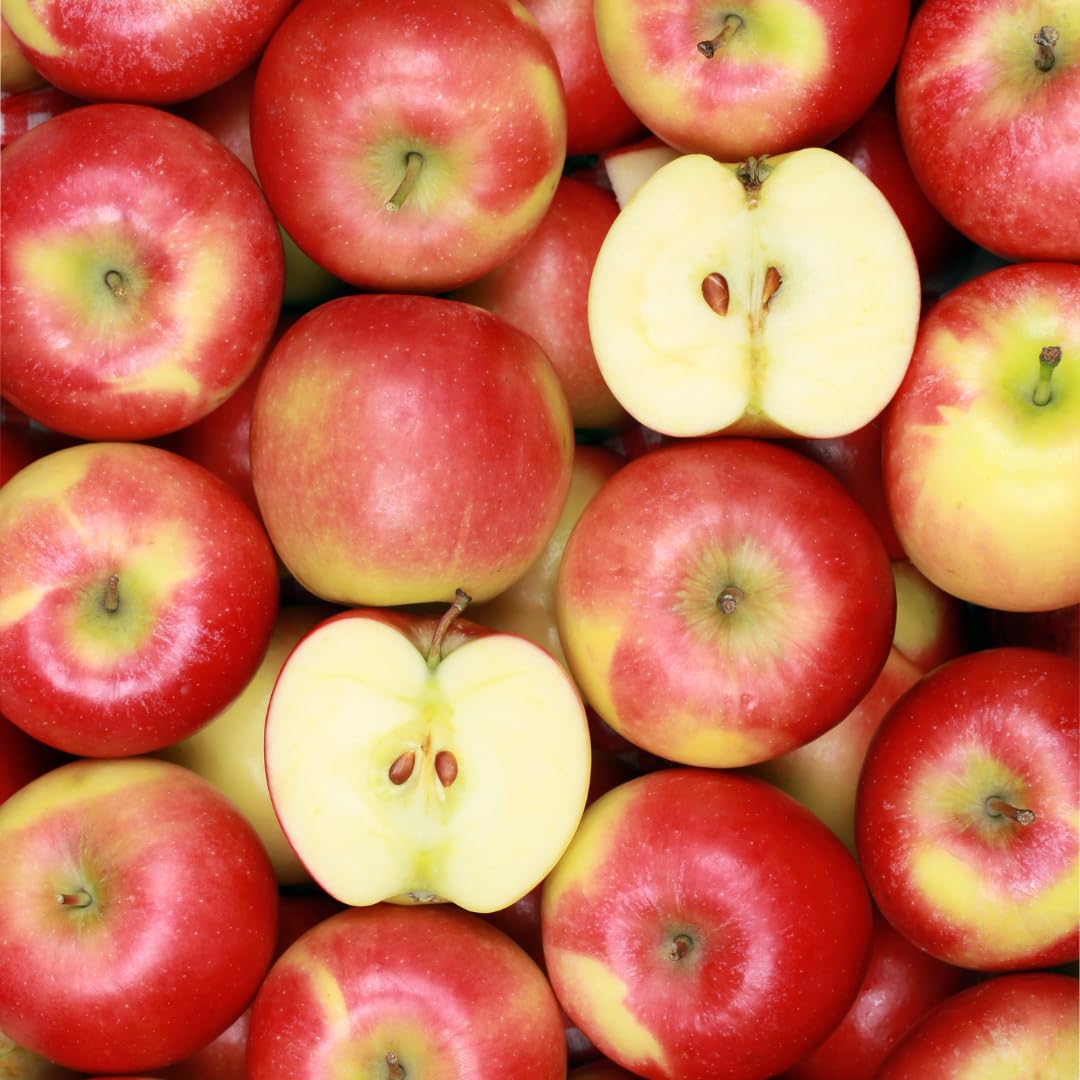 Premium Tropical Fruit Gift Box - Exotic Fresh Fruits Delivery for Holidays, Corporate Gifts & Healthy Snacking | Capital City Fruit