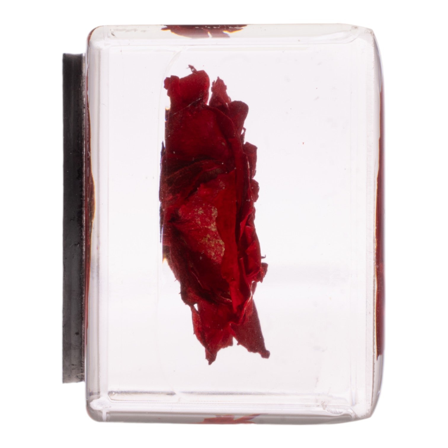 Real Red Rose Preserved in Acrylic Cube Magnet - Perfect for Refrigerator Decor, Office Gifts & Romantic Keepsakes
