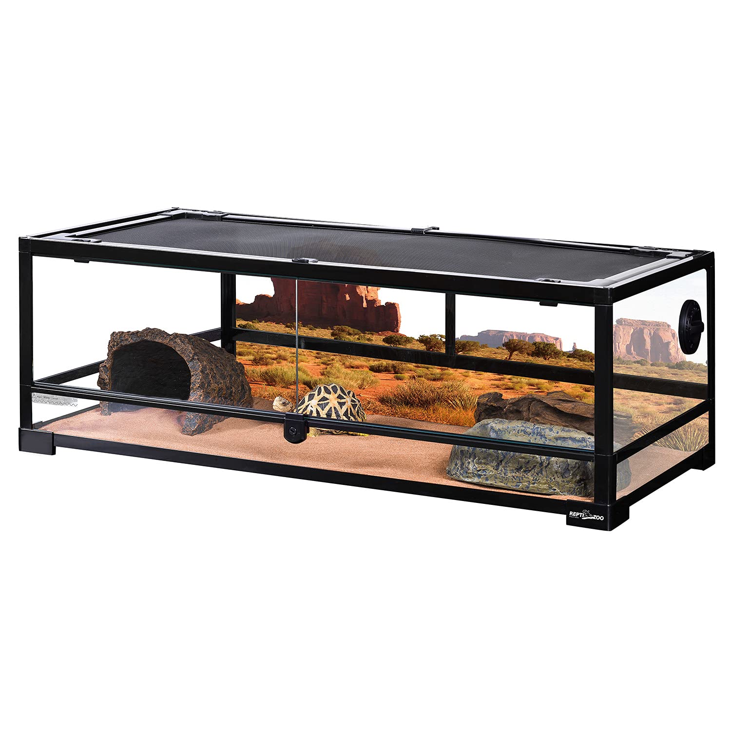 A Home for Leo: The Adventure of Finding the Perfect Terrarium
