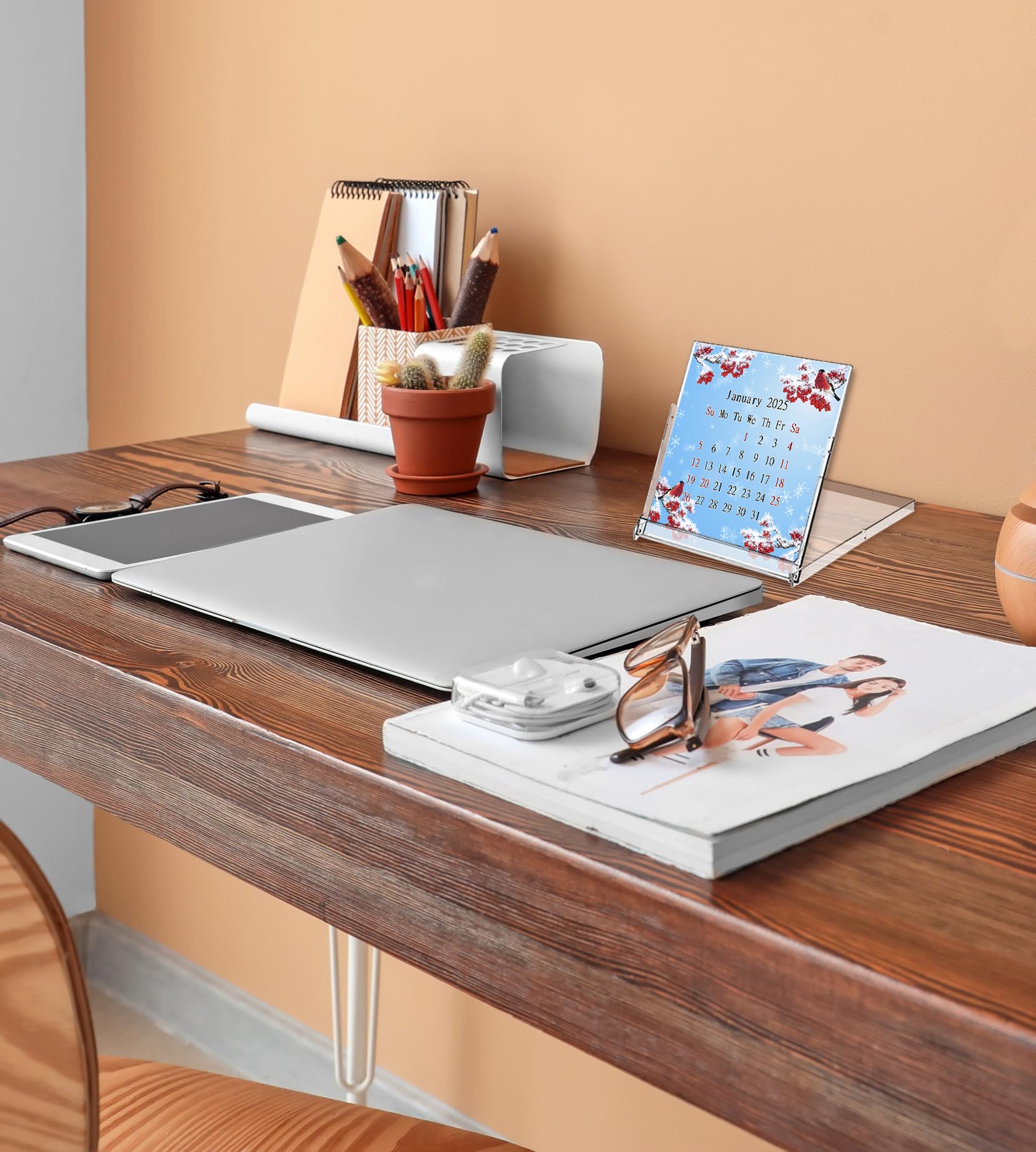 2025 CD-Style Desk Calendar - 12 Month Planner with CD Case Stand | Office Decor & Christmas Gift Idea | Perfect for Workstations, Home Offices & Holiday Gifting (Edition #016)