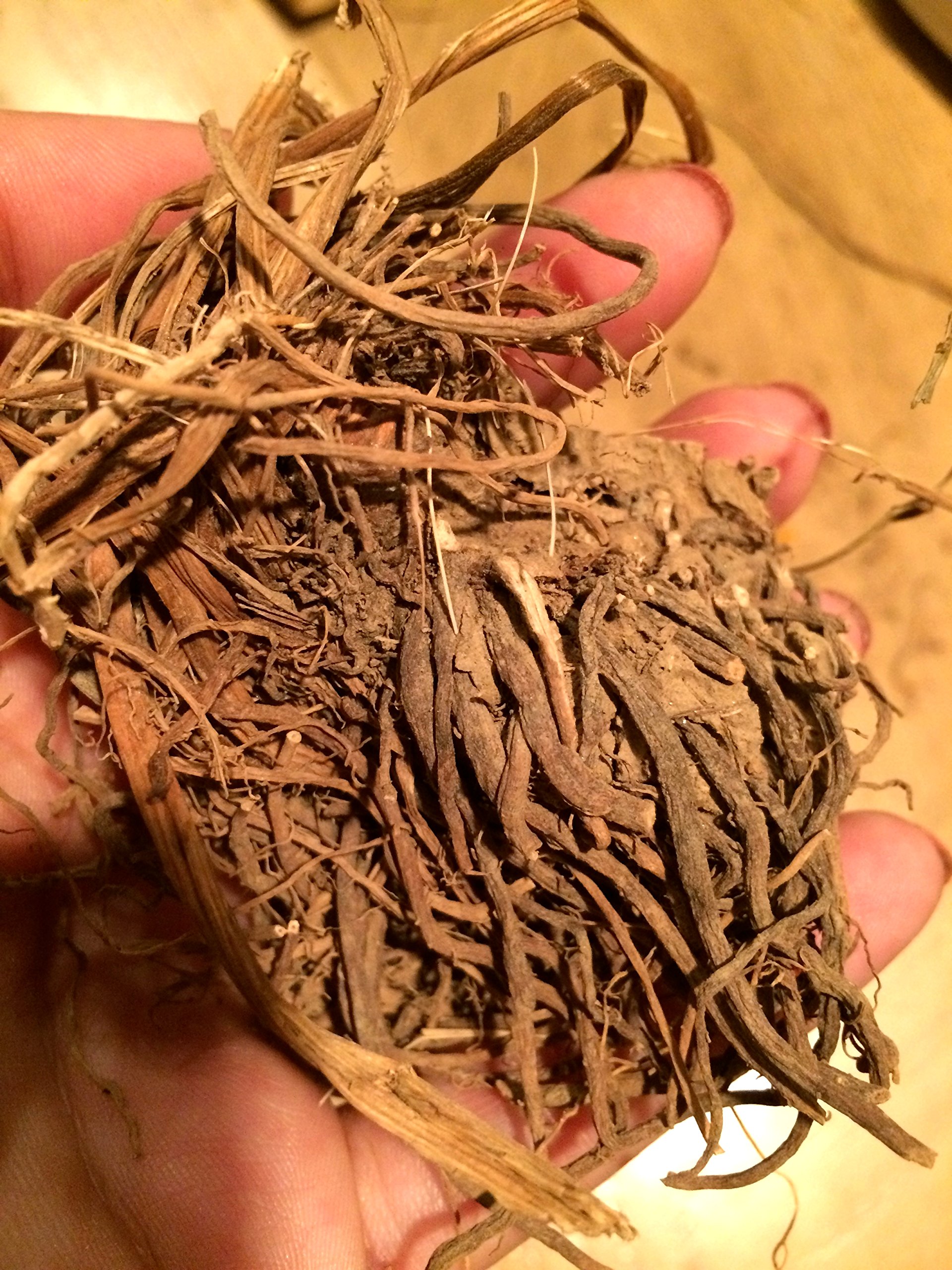 Organic Valerian Root (Valeriana Officinalis) - 6oz Dried Herbal Supplement for Sleep Aid, Stress Relief & Relaxation | USDA Certified, Non-GMO | Perfect for Tea, Tinctures & Aromatherapy