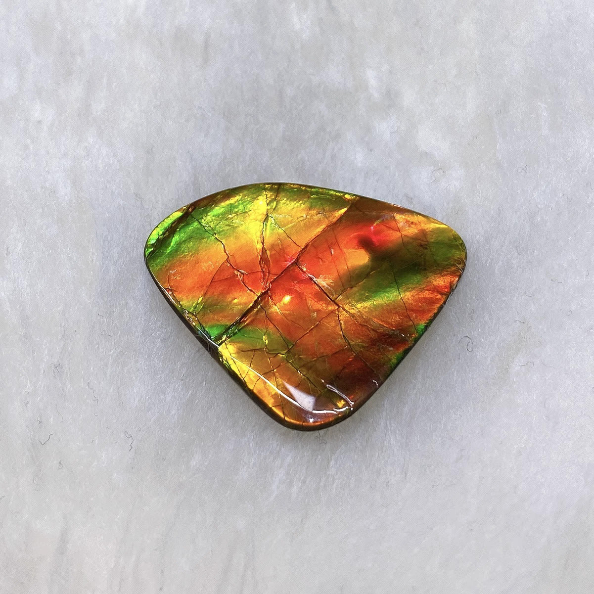 Freeform Ammolite FNA23205 - Natural Iridescent Gemstone for Jewelry Making, Collectors & Healing Crystals | Perfect for Necklaces, Rings & Home Decor