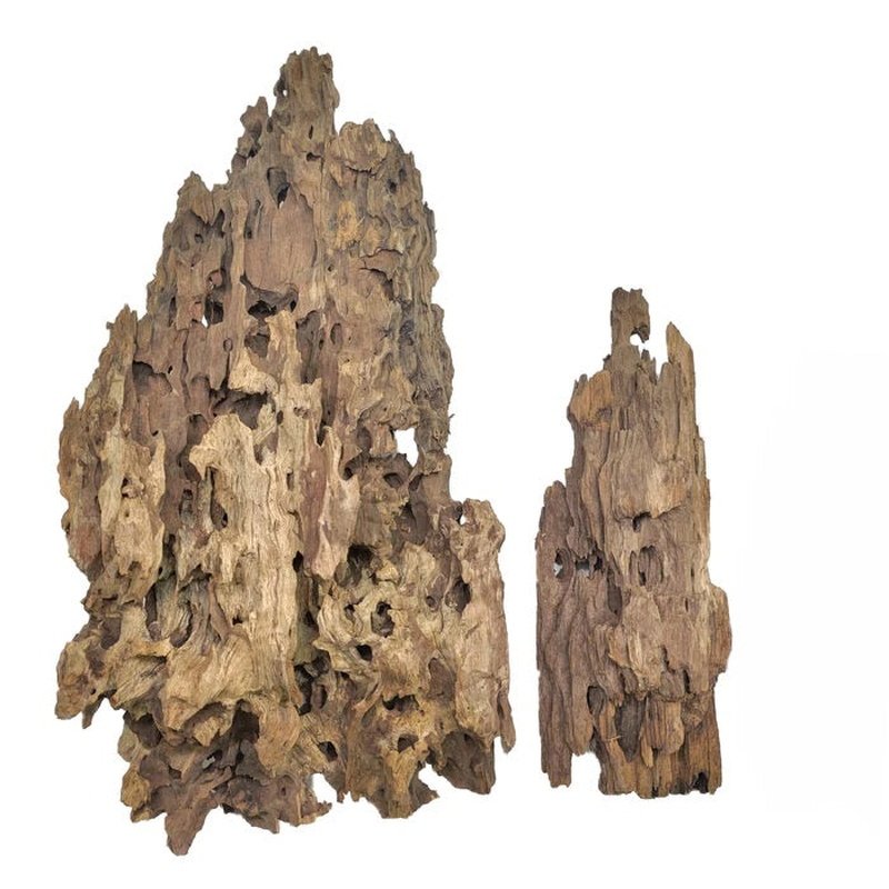 Premium Bioscape Dragon Driftwood for Aquarium Decor - Natural Wood for Fish Tank, Reptile Habitat & Terrarium Setup - Perfect for Aquatic Plants, Shrimp Tanks & Zen Landscaping
