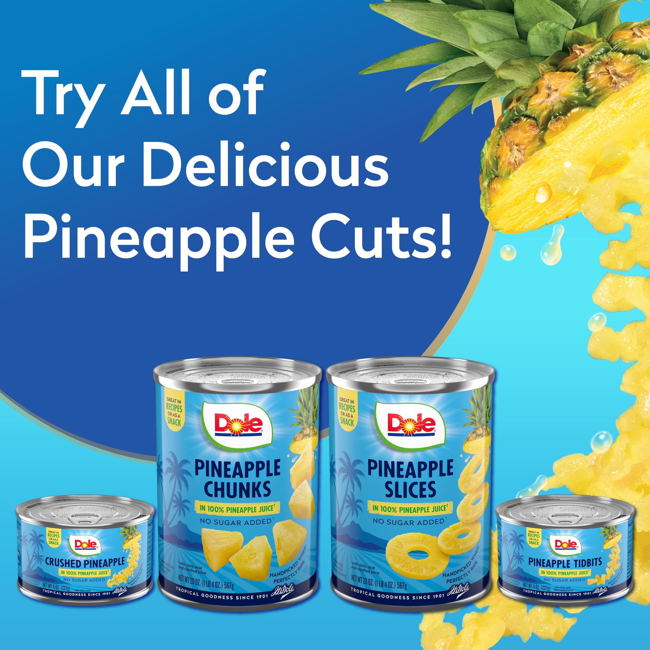 Dole Canned Crushed Pineapple in 100% Pineapple Juice - Gluten Free, 20 Oz (Packaging May Vary) - Perfect for Smoothies, Baking & Pantry Staples