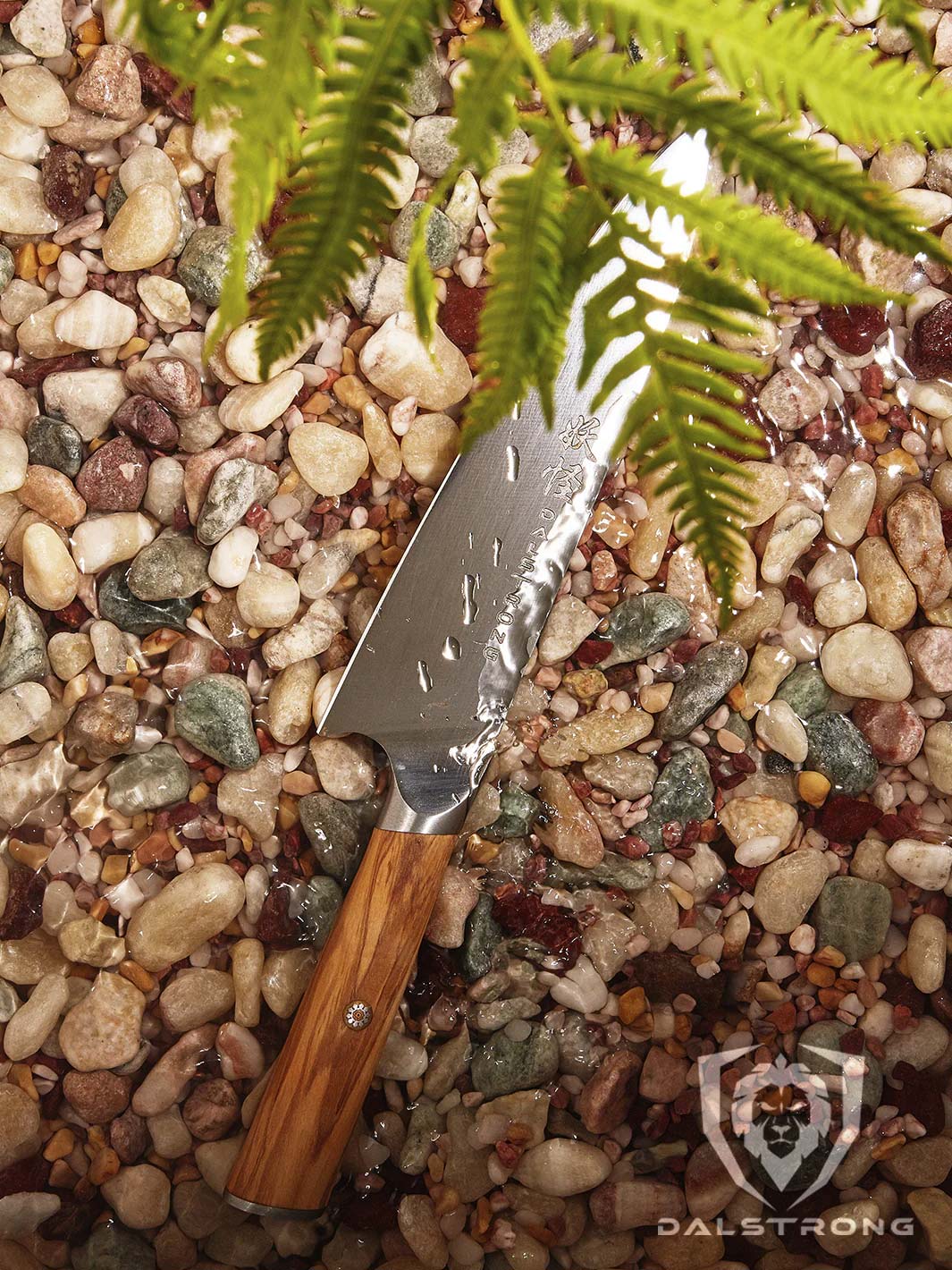 Dalstrong Phantom Series 8