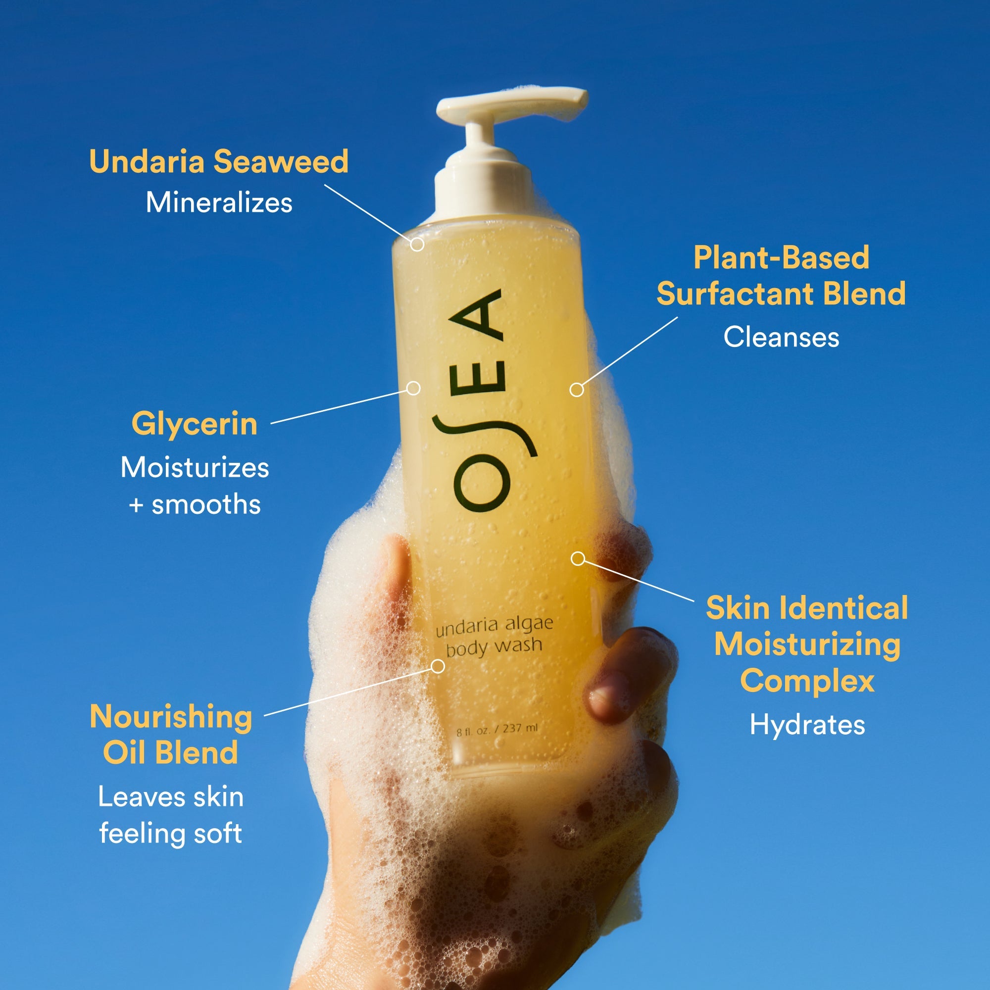 Undaria Algae™ Body Wash - Organic Seaweed Infused Shower Gel for Hydrating & Detoxifying Skin | Gentle Cleanser for Dry, Sensitive Skin | Perfect for Daily Shower Routine & Spa-Like Experience at Home
