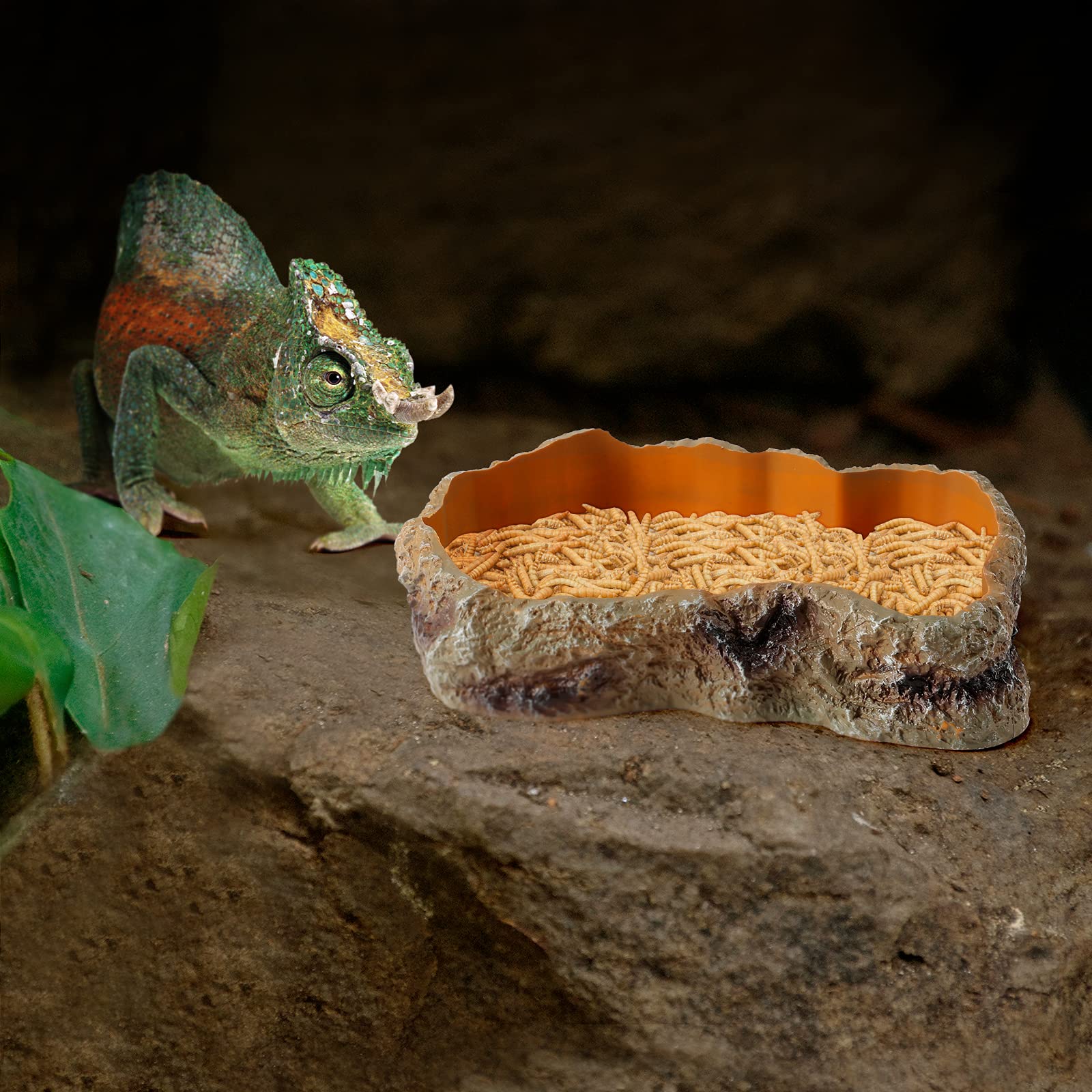 Natural Resin Reptile Food & Water Rock Bowls - Dual-Purpose Worm Feeder Dish & Terrarium Decor for Lizards, Chameleons, Frogs, Bearded Dragons | Perfect for Desert & Tropical Habitat Setups
