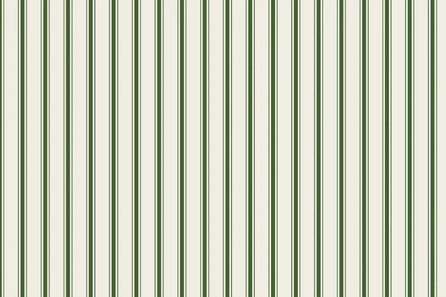 Hester & Cook Green Ribbon Stripe Cotton Placemat Set of 4 - Elegant Table Setting for Dining Room, Kitchen, and Party Decor