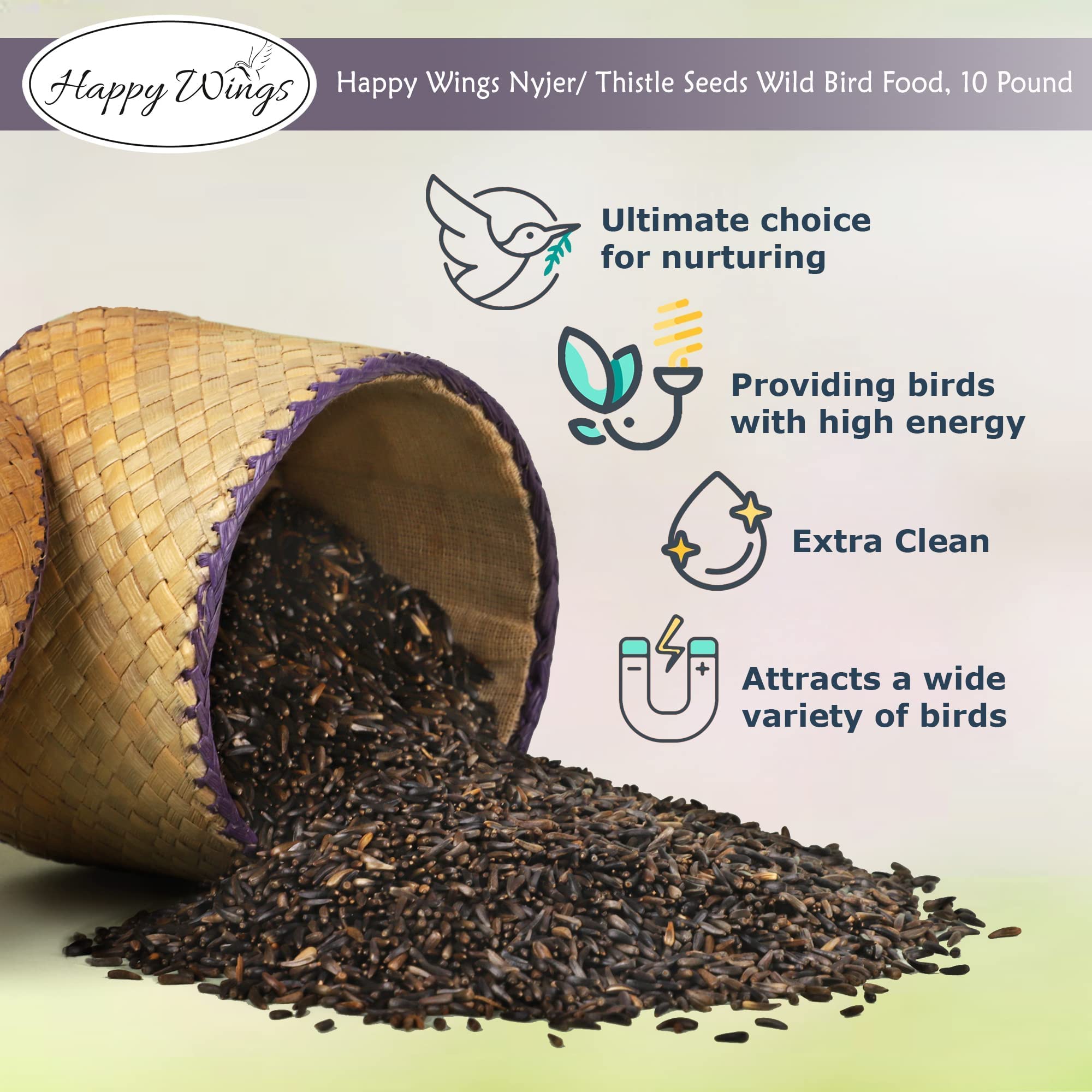 Premium Nyjer/Thistle Bird Seed - 10lb No-Grow Wild Bird Food with Free Mesh Sock Feeder | Attracts Finches & Songbirds | Backyard Birdwatching & Garden Feeding