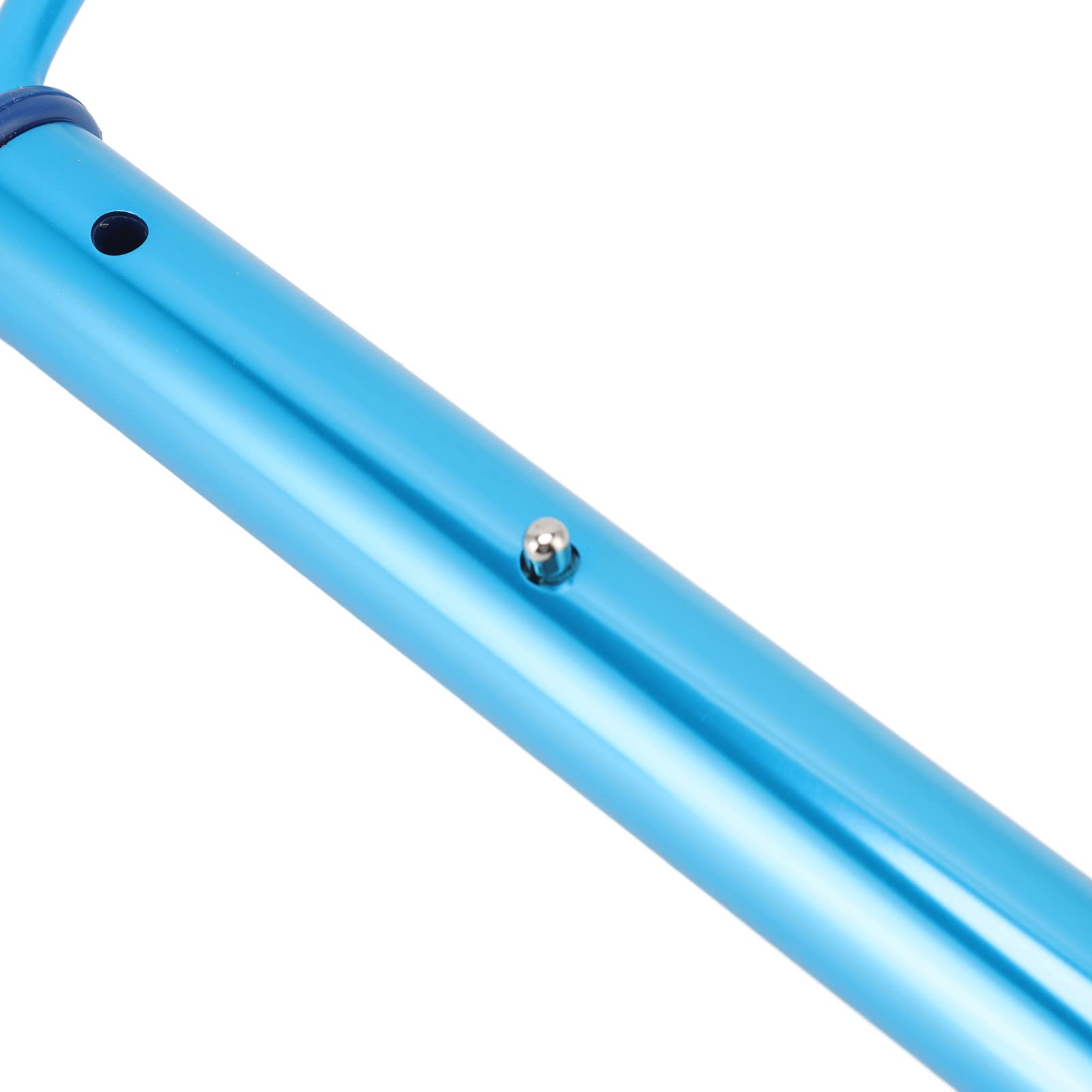 Pilipane Pool Safety Hook - Aluminum Alloy Emergency Rescue Hook for Swimming Pools | Life Saving Equipment with Round Design | Perfect for Pool Maintenance, Lifeguard Rescue & Water Safety (Blue)
