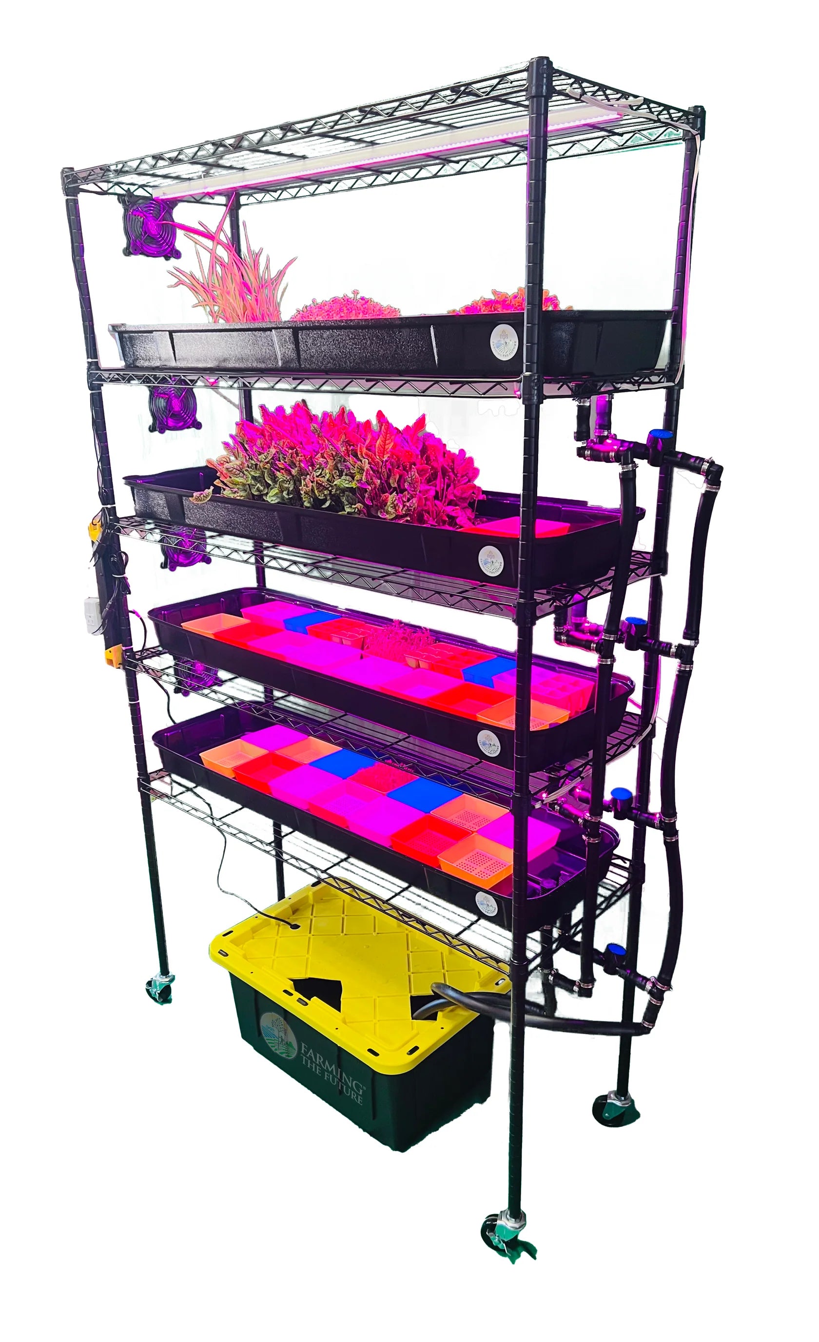 Hydroponic Grow Rack for School & Home - Compact Indoor Gardening System for STEM Education & Small Spaces | Perfect for Classrooms, Labs & Urban Farming