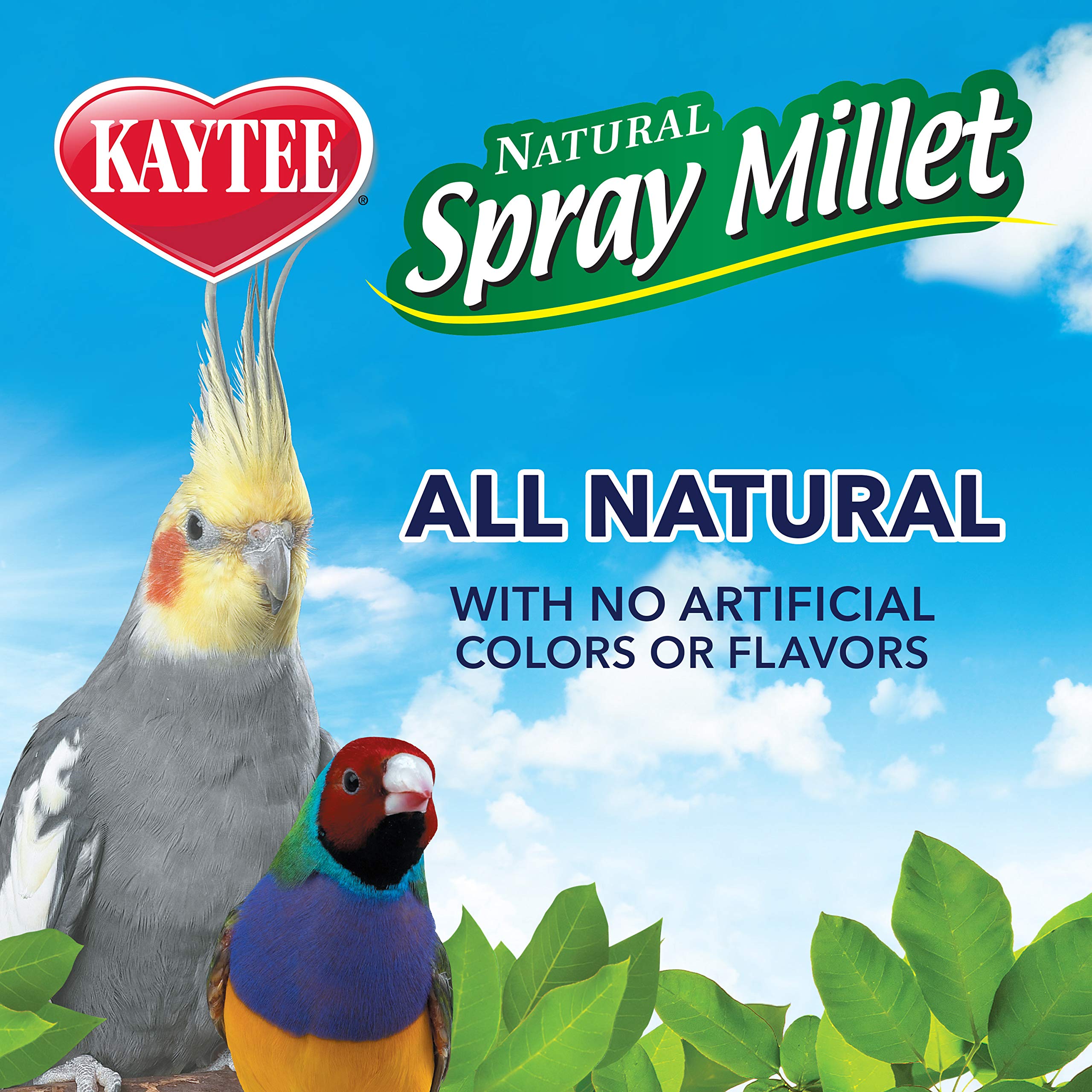 Kaytee Spray Millet Treat for Pet Birds - 5 Pound Bag | Natural & Nutritious Bird Food for Parakeets, Cockatiels, Finches | Perfect for Training, Bonding & Foraging Activities