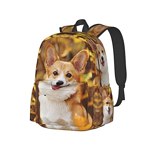 Corgi