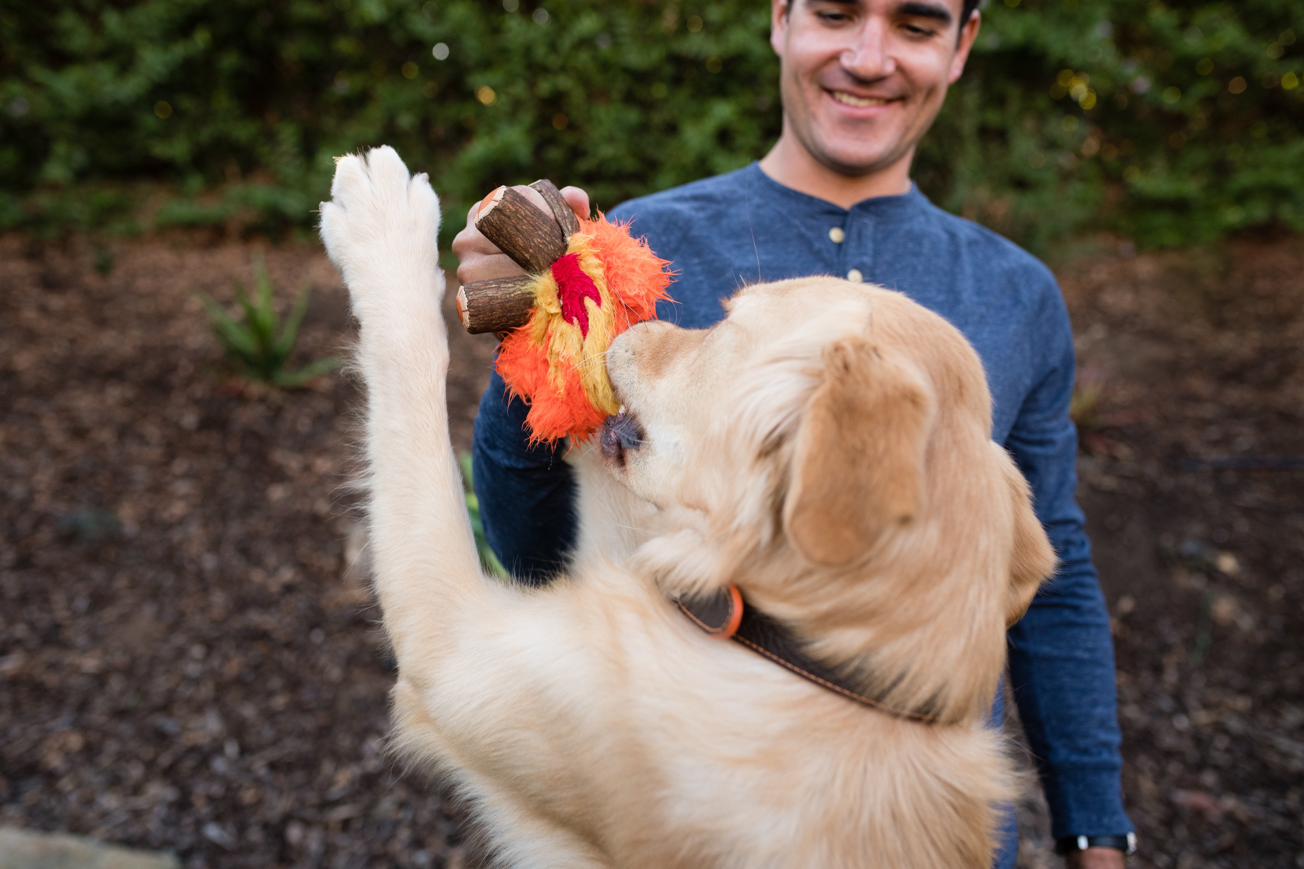 La Fogata Dog Chew Toy - Camp Corbin™ Plush Squeaky Chew Toy for Dogs | Pet P.L.A.Y. | Perfect for Playtime, Training & Outdoor Adventures