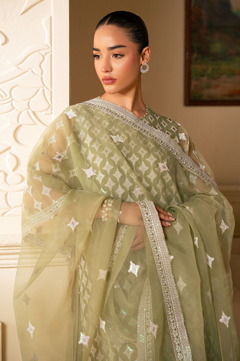Elegant Minted Sage 4-Piece Embroidered Organza Suit Set for Women – Perfect for Weddings, Parties & Special Occasions