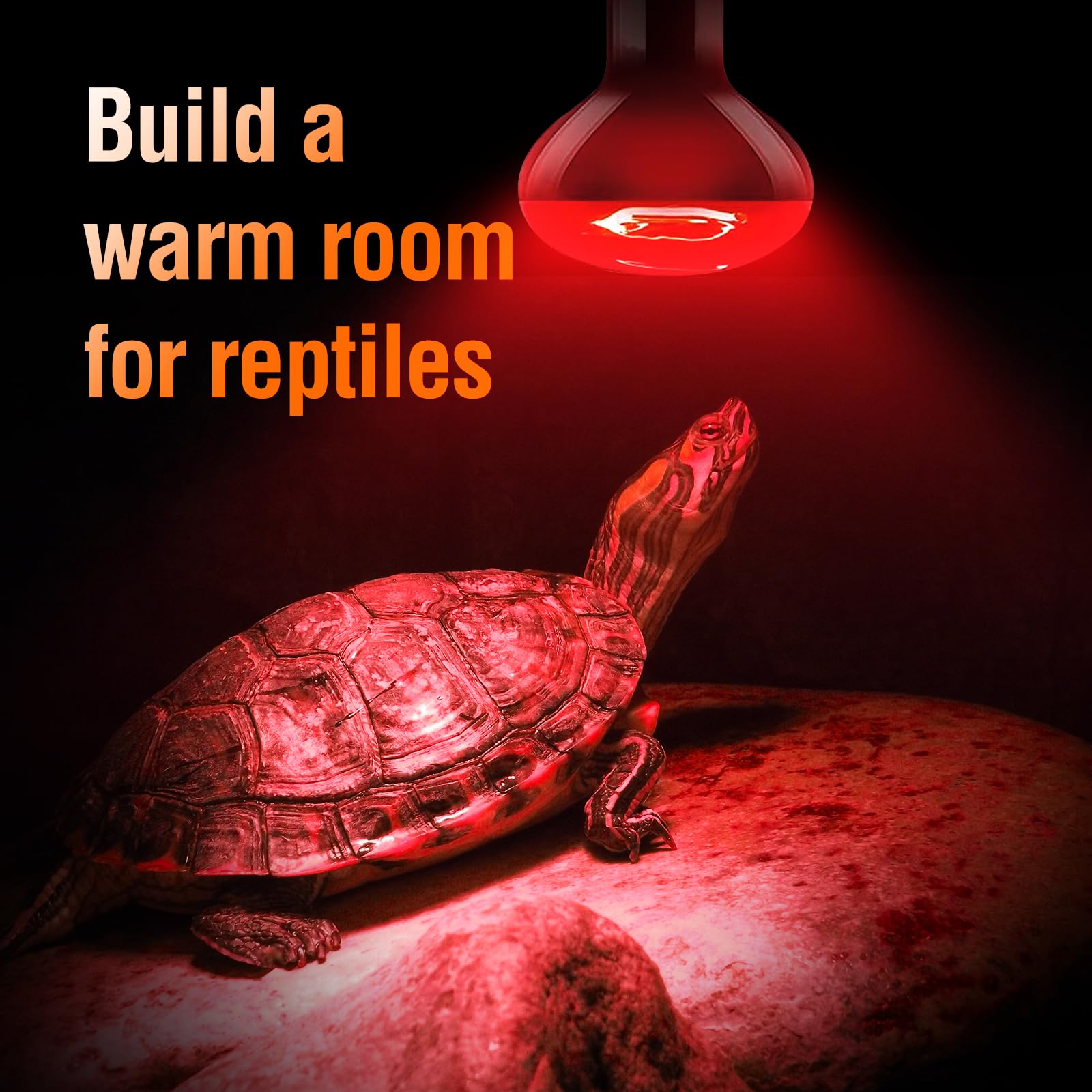 Leoterra 75W Reptile Heat Lamp 2 Pack - Red Night Heat Bulb for Terrariums, Dimmable Ceramic Heat Emitter with E26 Base for Lizards, Snakes & Amphibians - Long Lasting Reptile Night Light for Nocturnal Pets & Habitat Heating