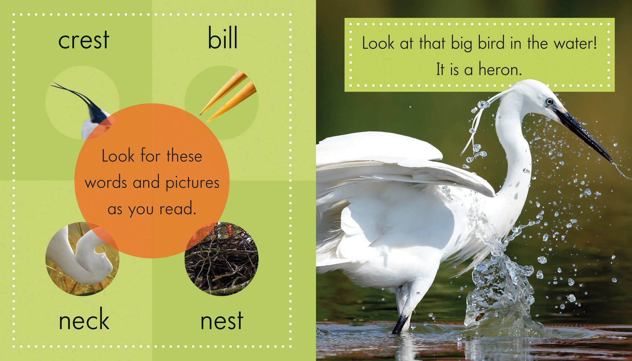Herons - Premium Outdoor & Home Decor for Garden, Patio, and Living Room | Perfect for Bird Lovers & Nature-Inspired Interior Design