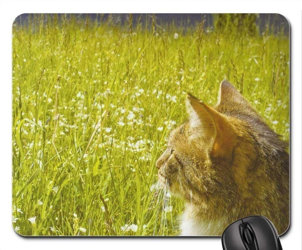 Tabby Cat Looking Over The Field Mouse Pad - Cute Cat-Themed Gaming Mousepad for PC & Laptop - Perfect for Office, Gaming & Computer Work