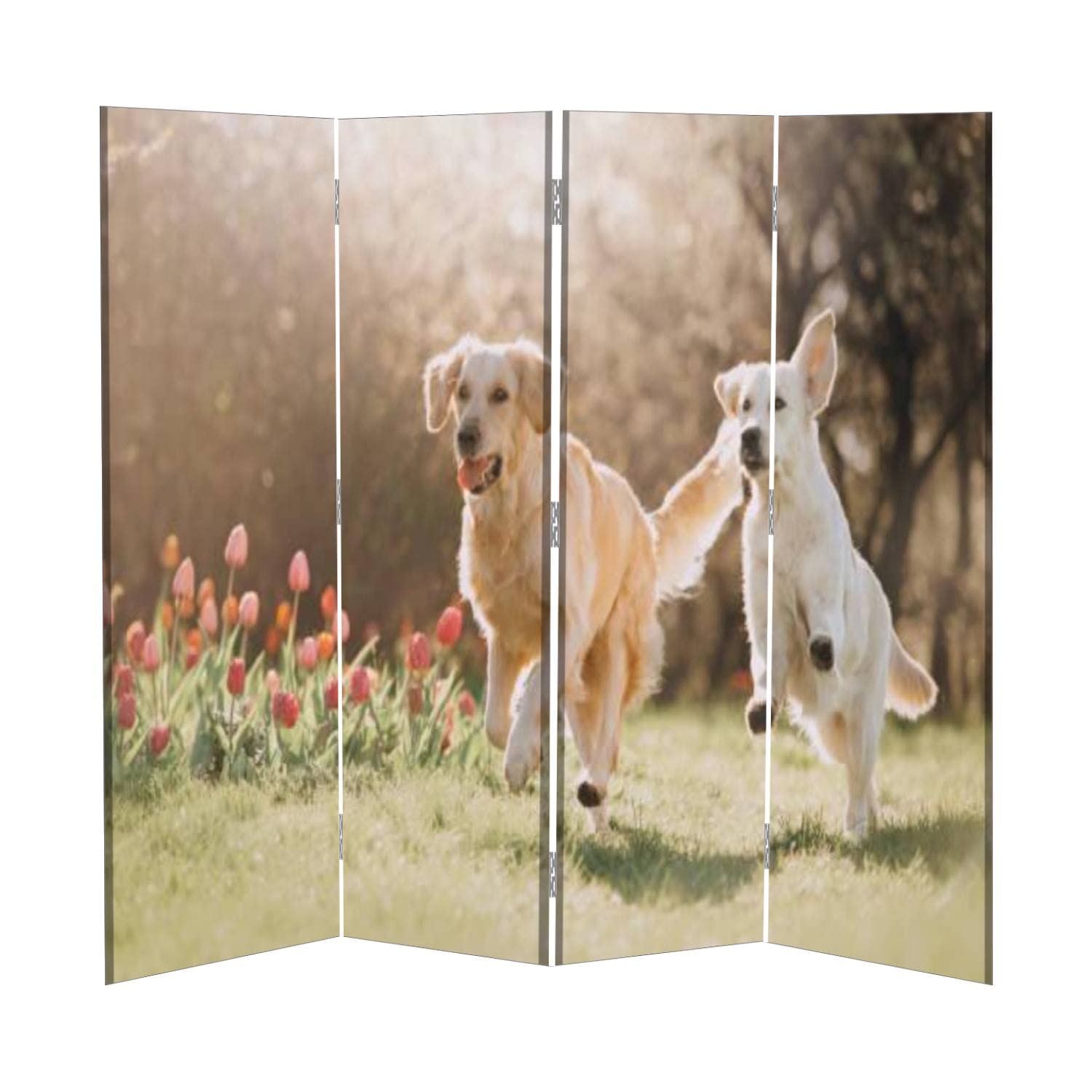 Golden Retriever Dog Room Divider Screen - 6-Panel Folding Privacy Partition for Indoor/Outdoor Use - Freestanding Protective Wall Separator with Running Dogs Design - Perfect for Home Office, Bedroom, and Patio Privacy