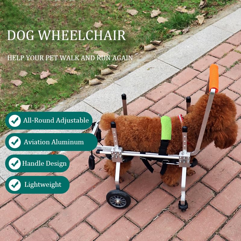 Adjustable 4-Wheel Dog Wheelchair for Small & Medium Pets - Lightweight Mobility Aid for Front Leg Arthritis & Weak Limbs (XXS) - Ideal for Indoor/Outdoor Use, Recovery & Daily Support