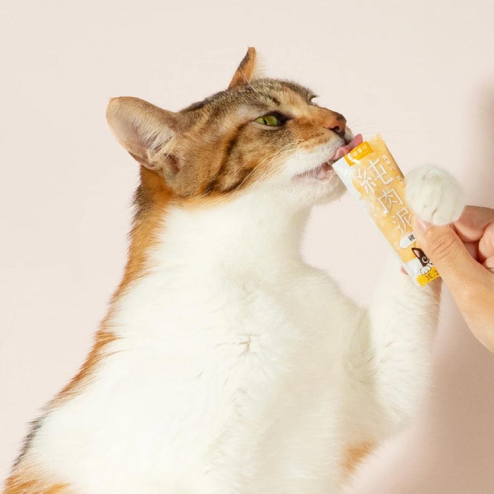 Premium Pure Chicken Scallop Cat & Dog Food Mousse - Grain-Free Soft Wet Treat for Puppies, Kittens & Adult Pets - Perfect for Training, Digestive Health & Picky Eaters