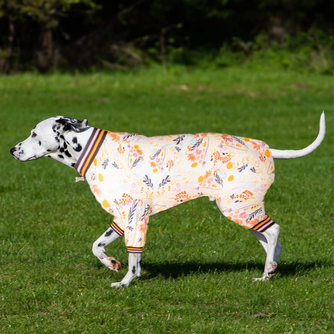 LovinPet Large Dog Onesie Pajamas - Anxiety Relief & Post-Surgery Recovery Suit for Dogs | Breathable Stretchy Fabric | XXL Size | Perfect for Morning Walks & Comfortable Home Wear