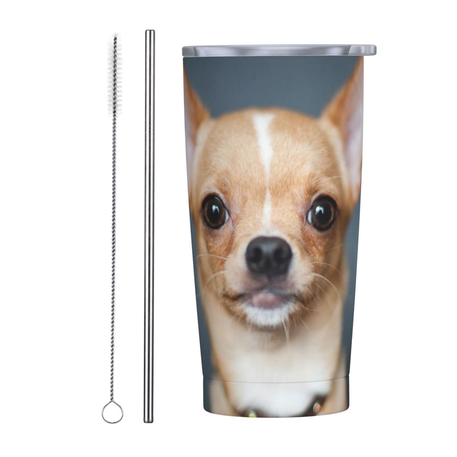 SWEET TANG 20oz Vacuum Insulated Stainless Steel Travel Mug with Lid & Straw - Cute Chihuahua Dog Design, Leak Proof Coffee Tumbler & Water Bottle for Office, Gym, Hiking & Daily Use