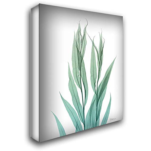 Albert Koetsier Radiant Bamboo Leaf 2 - 18x24 Gallery Wrapped Canvas Art Print - Modern Home & Office Wall Decor - Perfect for Living Room, Bedroom or Office