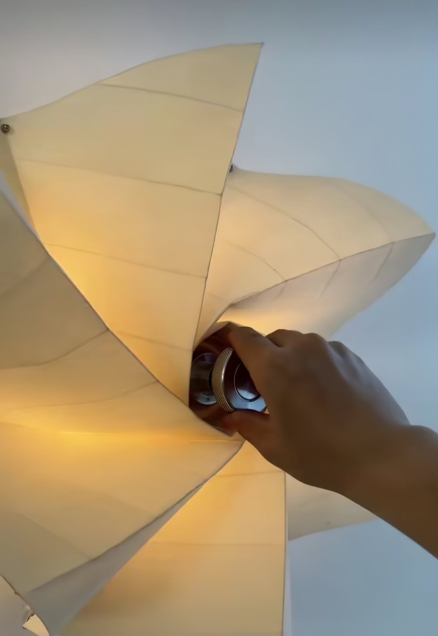 Bloom Petals Wall Lamp - Modern Floral LED Sconce Light for Bedroom, Living Room, Nursery - Dimmable Decorative Lighting for Home Decor & Ambiance