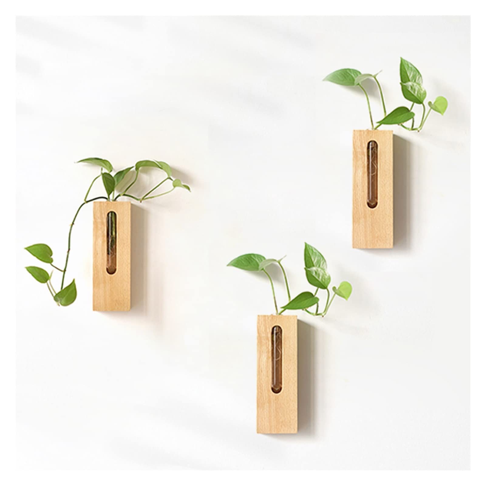 3-Pack Hanging Glass Planters for Wall - Terrarium Vases for Succulents, Air Plants & Hydroponics | Indoor/Outdoor Home & Garden Decor | Perfect for Living Room, Balcony, Office Decor