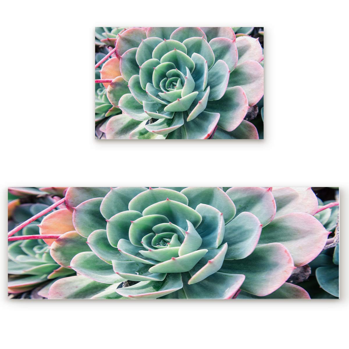 2-Piece Anti-Fatigue Kitchen Rug Set - Non-Slip Waterproof Floor Mats with Cactus Succulent Design (19.7x31.5in + 19.7x47.2in) for Comfortable Standing While Cooking & Dishwashing