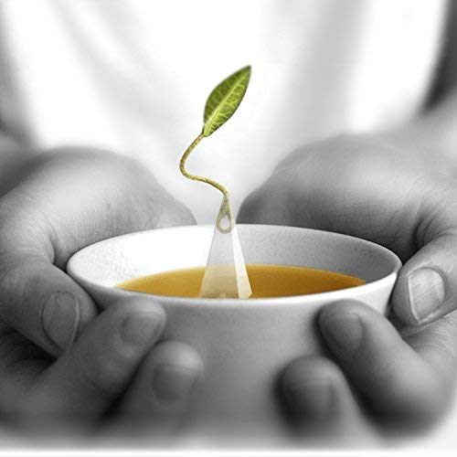 Tea Forte Chamomile Citron Herbal Tea - 48 Pyramid Infuser Sachets Bulk Pack | Relaxing Caffeine-Free Tea for Stress Relief, Gifts & Daily Wellness