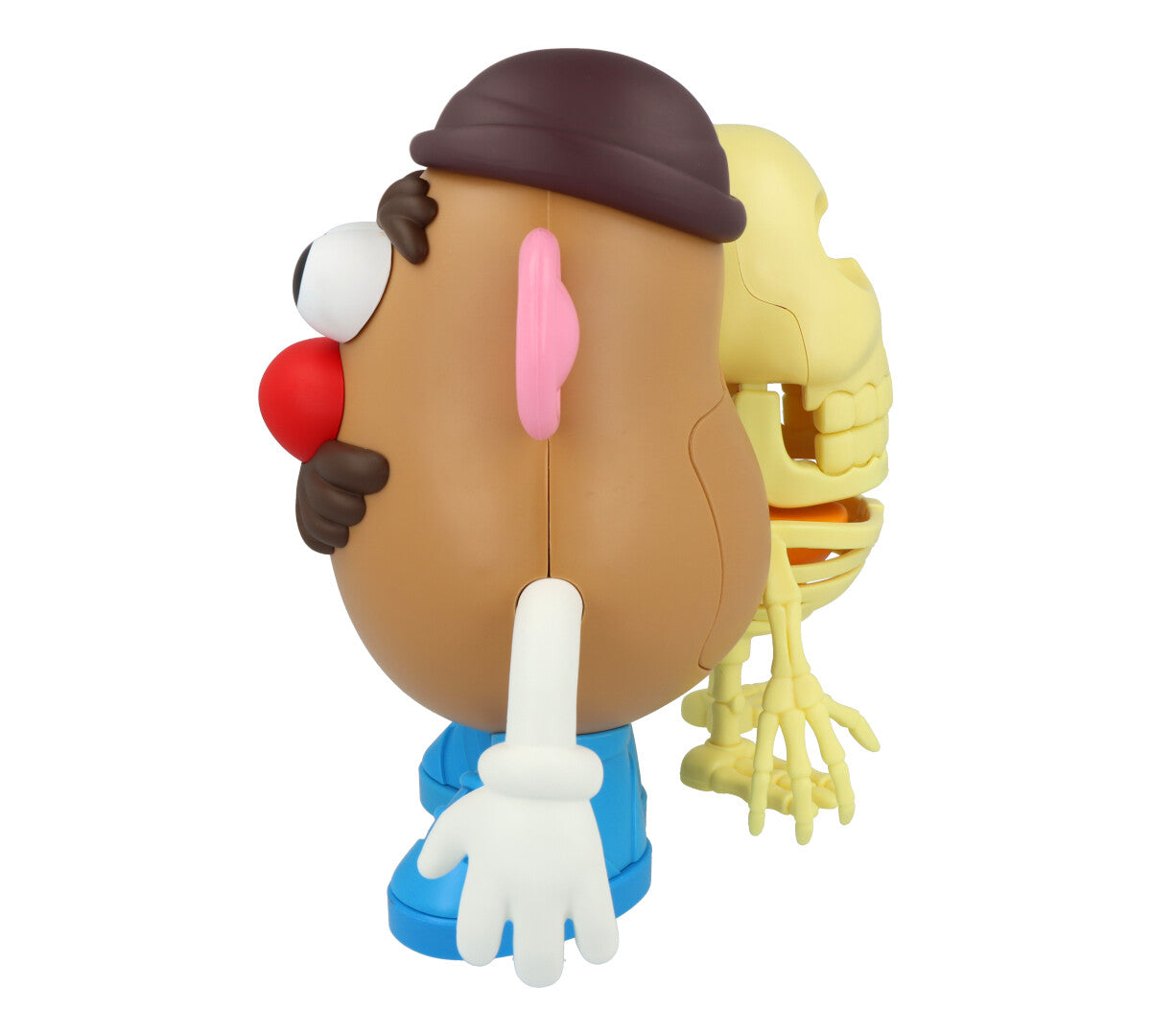 4D XXRAY Mr Potato Head Toy - Interactive Educational Building Blocks for Kids - Perfect for STEM Learning, Creative Play & Birthday Gifts (Great for Classroom Activities & Family Game Nights)