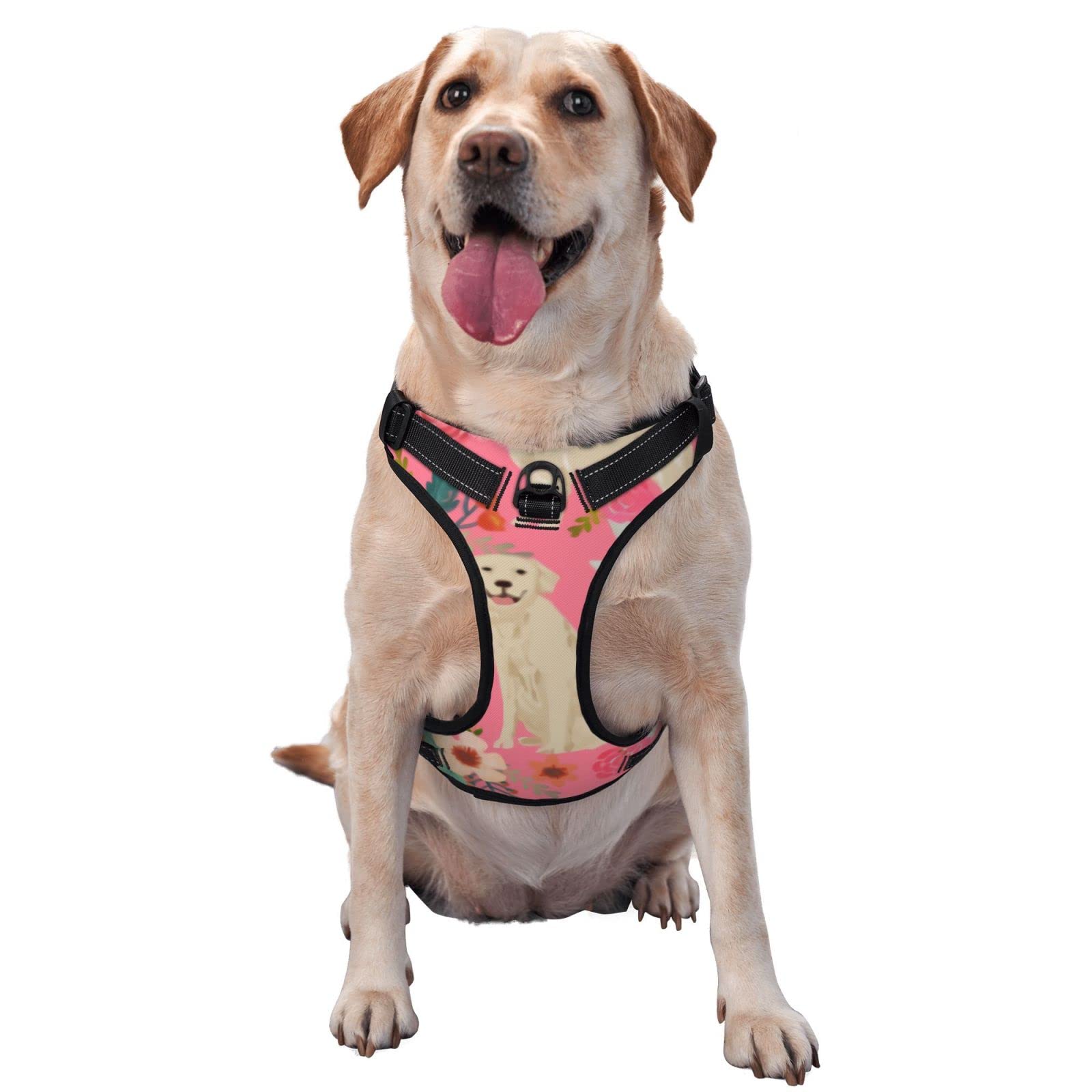 **Escape Proof Soft Adjustable Dog Harness and Leash Set for Small & Medium Dogs - Breathable Reflective Vest for Puppies & Pets - Perfect for Walking, Training & Outdoor Adventures**