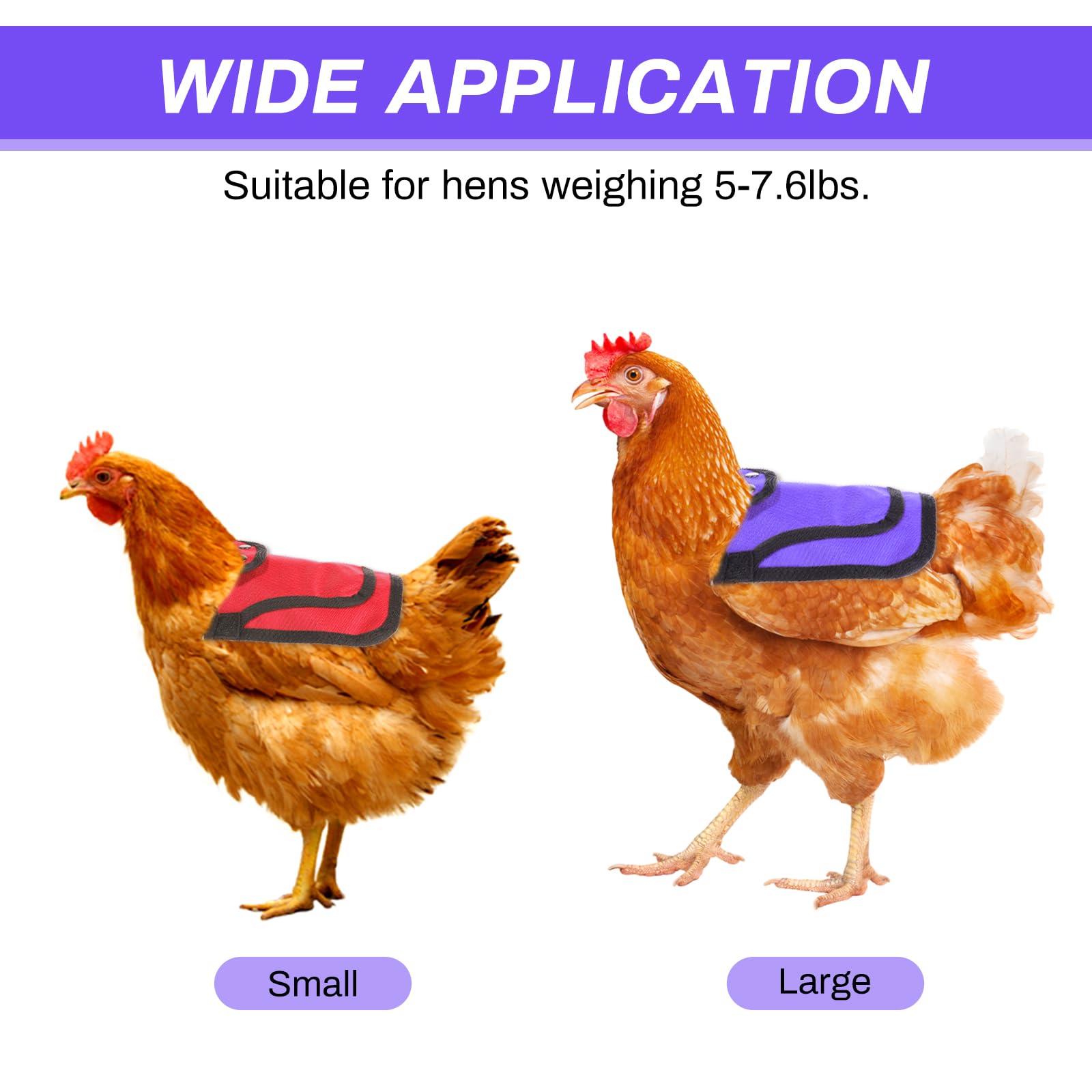 6 Pcs Adjustable Chicken Saddle Apron - Hen Back & Side Protector with Comfortable Straps | Feather Protection Poultry Accessories for Egg Laying, Rooster Mating & Free Range Hens (Ideal for Backyard Chickens & Small Farms)