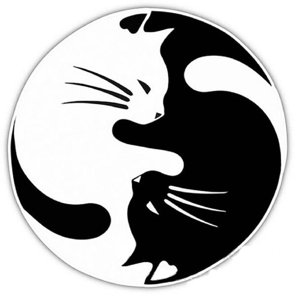 Reflective Silver-White Funny Cute Cat Car Stickers - Cartoon Tai Chi Cat Decals for Vehicles | Perfect for Car Windows, Bumpers & Laptops