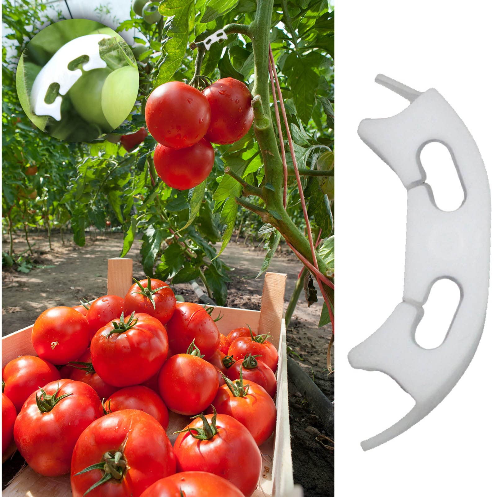 Honiwu 100Pcs Plant Support Clips - Durable Plastic Tomato Vine Clips for Grape & Vegetable Garden - Perfect for Vine Fixation, Grow Upright Support - Ideal for Home Gardening, Greenhouse & Vertical Farming