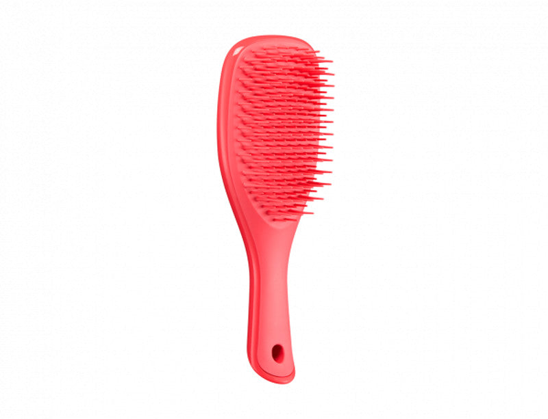 Tangle Teezer Ultimate Detangler Mini Hair Brush - Compact Detangling Hairbrush for Wet & Dry Hair - Perfect for Travel, Kids, and On-the-Go Styling