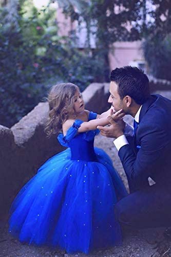 Cinderella Princess Ball Gown for Girls - Elegant Tulle Flower Girl Dress for Pageants, Weddings & Special Occasions | Perfect for Birthday Parties, Pageant Competitions & Fairy Tale Costume Events