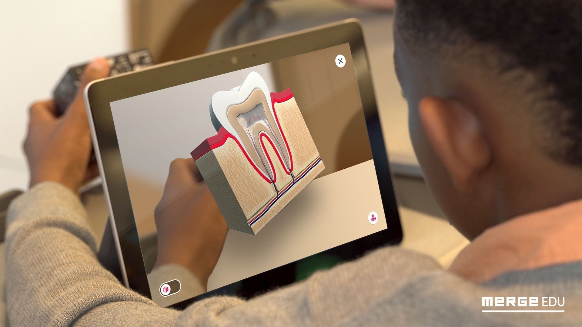 Merge EDU Lab Complete License - Interactive STEM Learning for K-12 Students | Virtual Science Experiments & 3D Simulations for Classroom & Homeschool Education