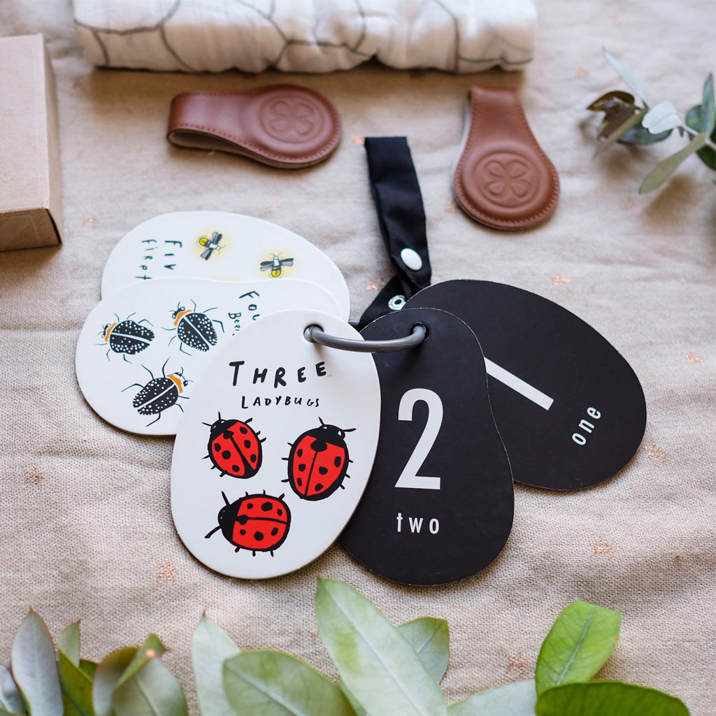 Wee Gallery Stroller Cards - I See Bugs to Count | High Contrast Baby Flash Cards for Early Learning | Perfect for Stroller, Car Seat & Tummy Time Play