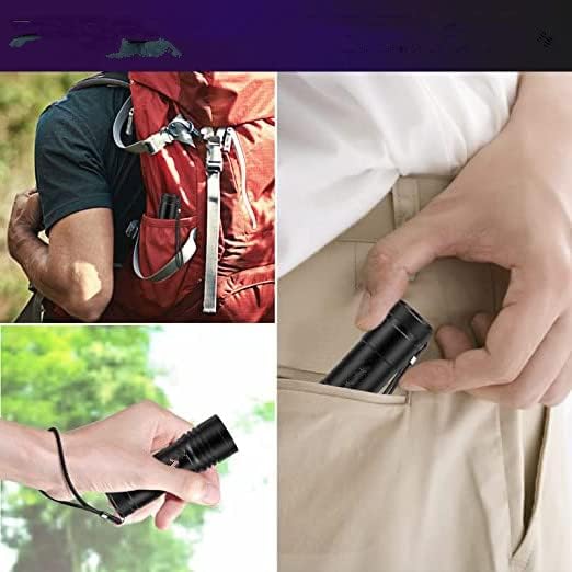 UV Flashlight 395nm - 9 LED Pet Urine Detector for Dogs, Cats & Bed Bugs