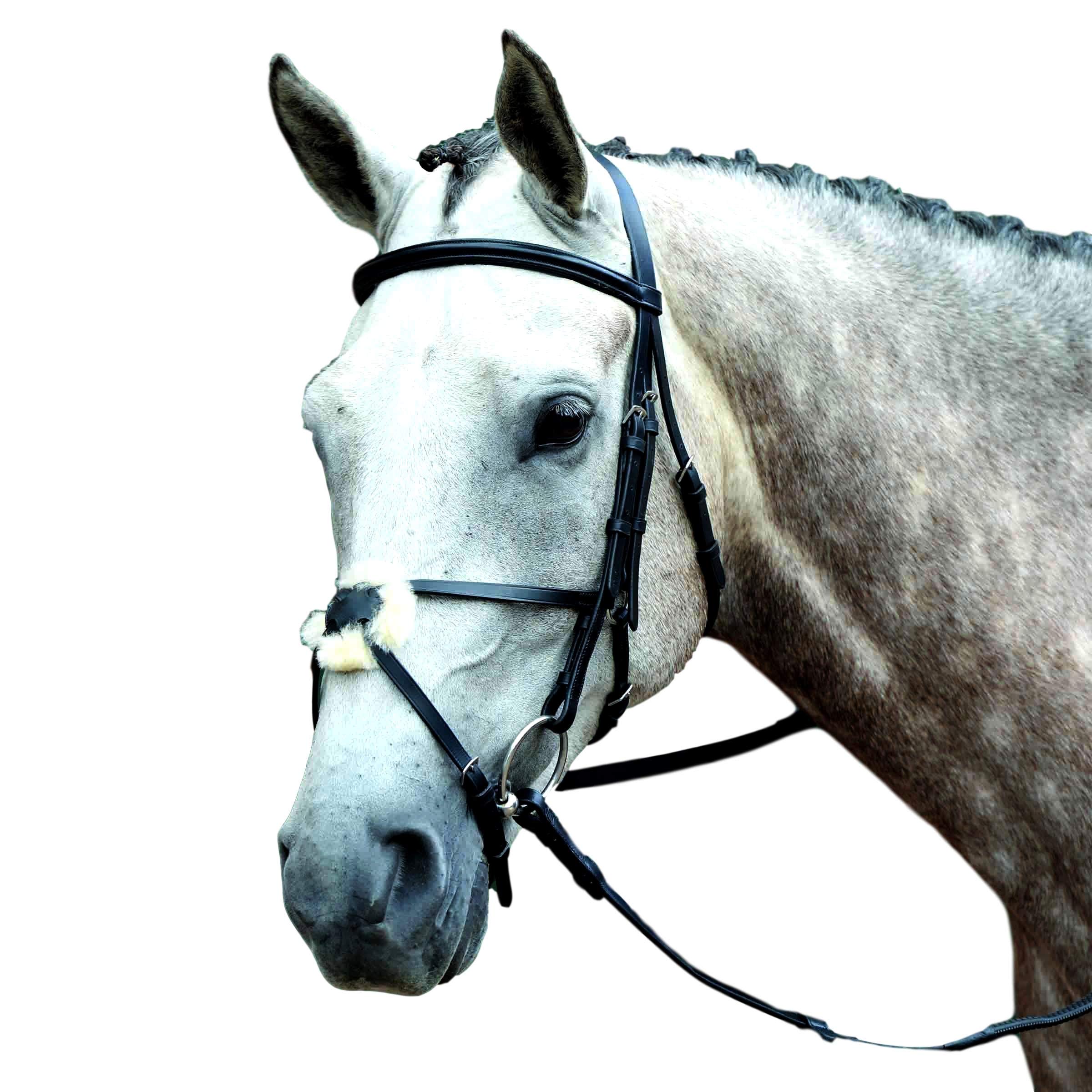 Premium Padded Raised Figure 8 Bridle for Horses - Black Full Size | Comfortable Equestrian Training & Show Jumping Equipment for English Riding