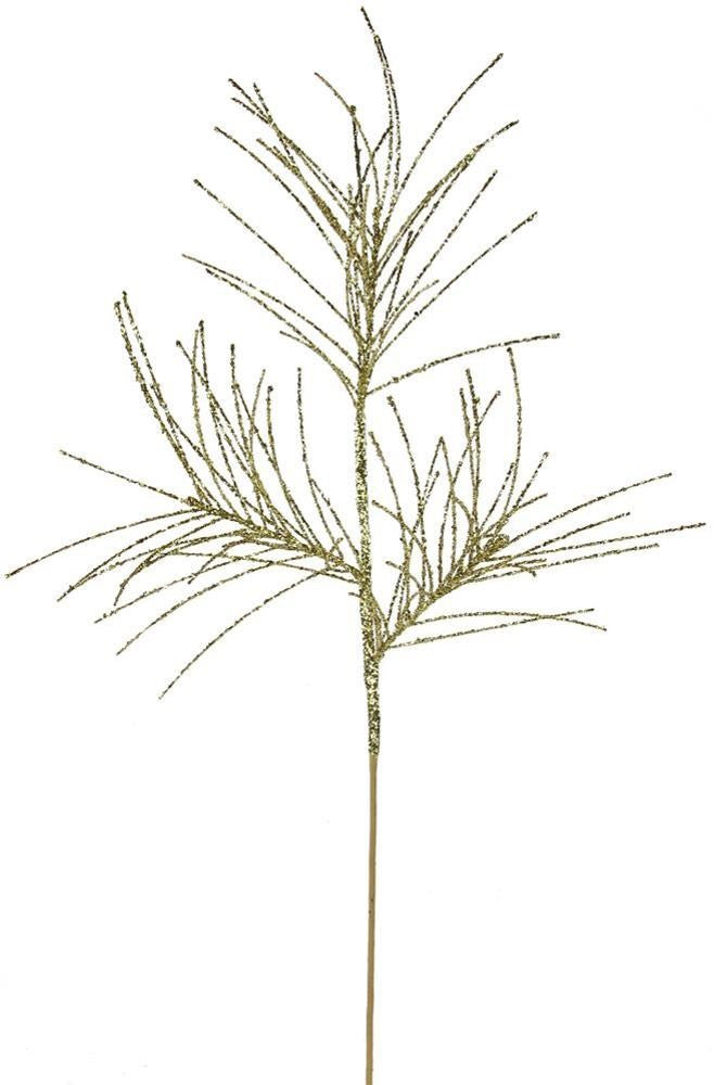 31
