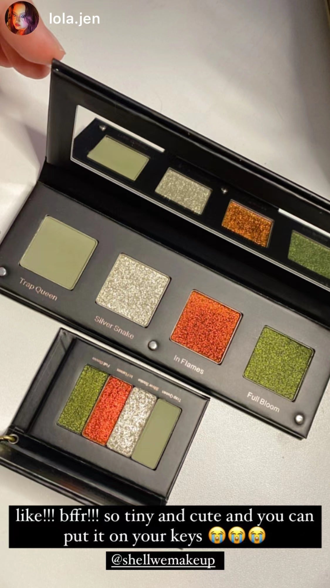 Shellwe Makeup Liana Matte Satin Shimmer Chameleon Green Eyeshadow Palette - 12 Highly Pigmented Colors for Day & Night Makeup Looks - Perfect for Parties, Weddings & Special Occasions