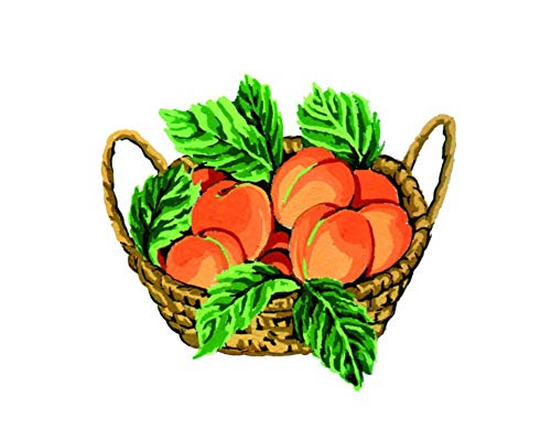 Apricot A14