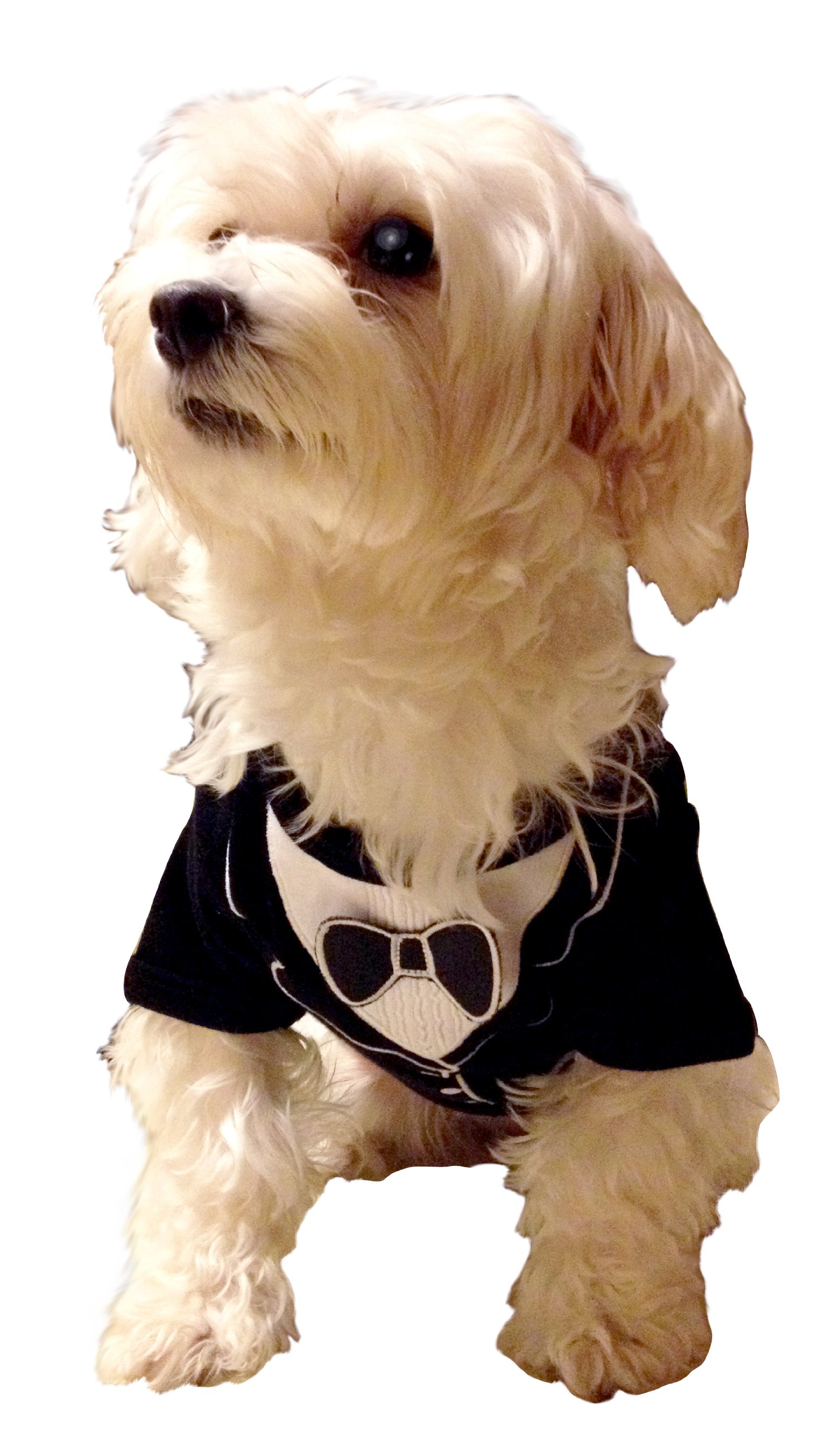 Premium Dog Tuxedo for Medium Dogs - Formal Pet Suit for Weddings, Parties & Special Occasions