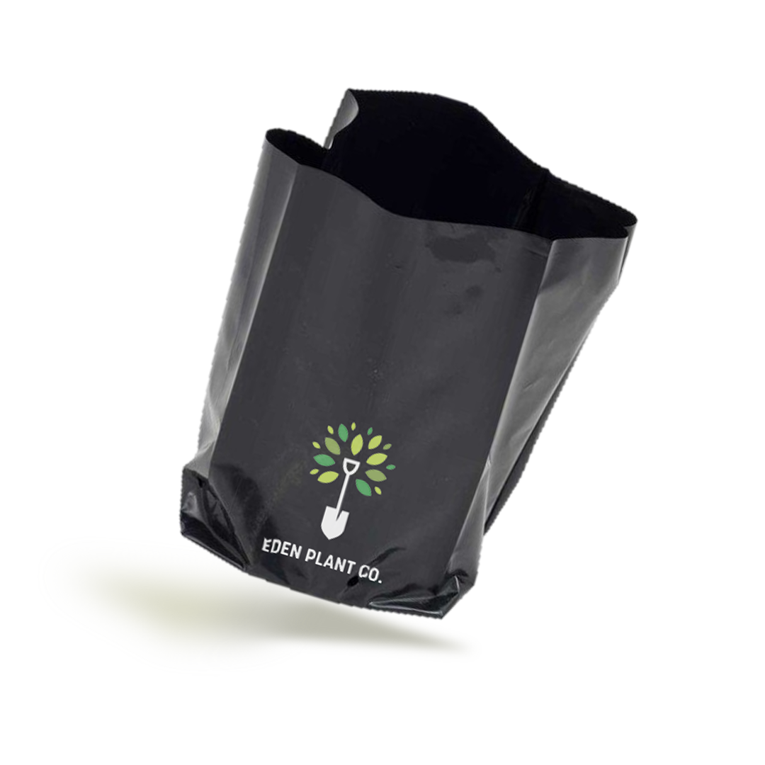 Custom POLLAST!C Bags - Eco-Friendly Reusable Shopping Totes for Groceries, Beach & Travel | Durable & Stylish Carryall for Everyday Use