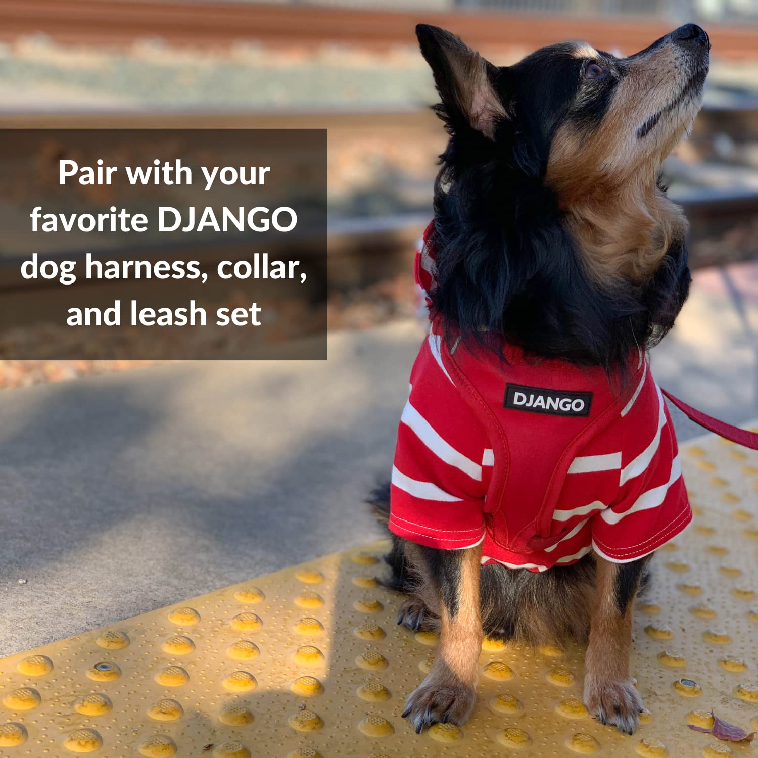 DJANGO Dog Hoodie - Soft & Stretchy Winter Sweater for Dachshunds & Small Dogs - Cozy Red Dog Sweatshirt with Elastic Waistband & Harness Hole - Machine Washable Pet Clothing for Cold Weather - Perfect for Outdoor Walks & Indoor Lounging