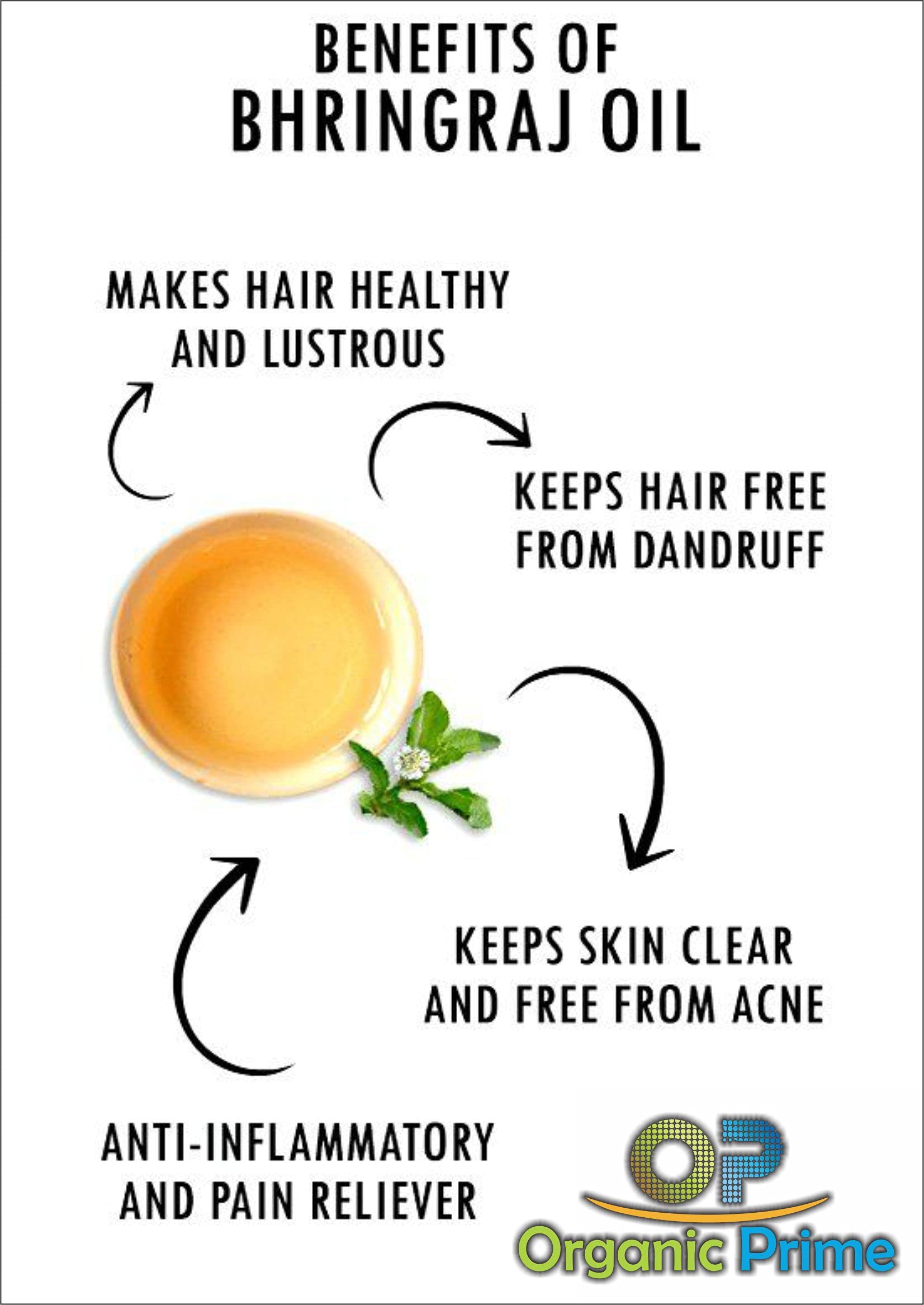 Organic Bhringraj Powder for Hair Growth & Scalp Care | Natural Hair Conditioner & Cleanser | 200g (2 x 100g) | Promotes Thicker, Stronger Hair - Perfect for DIY Hair Masks & Ayurvedic Treatments